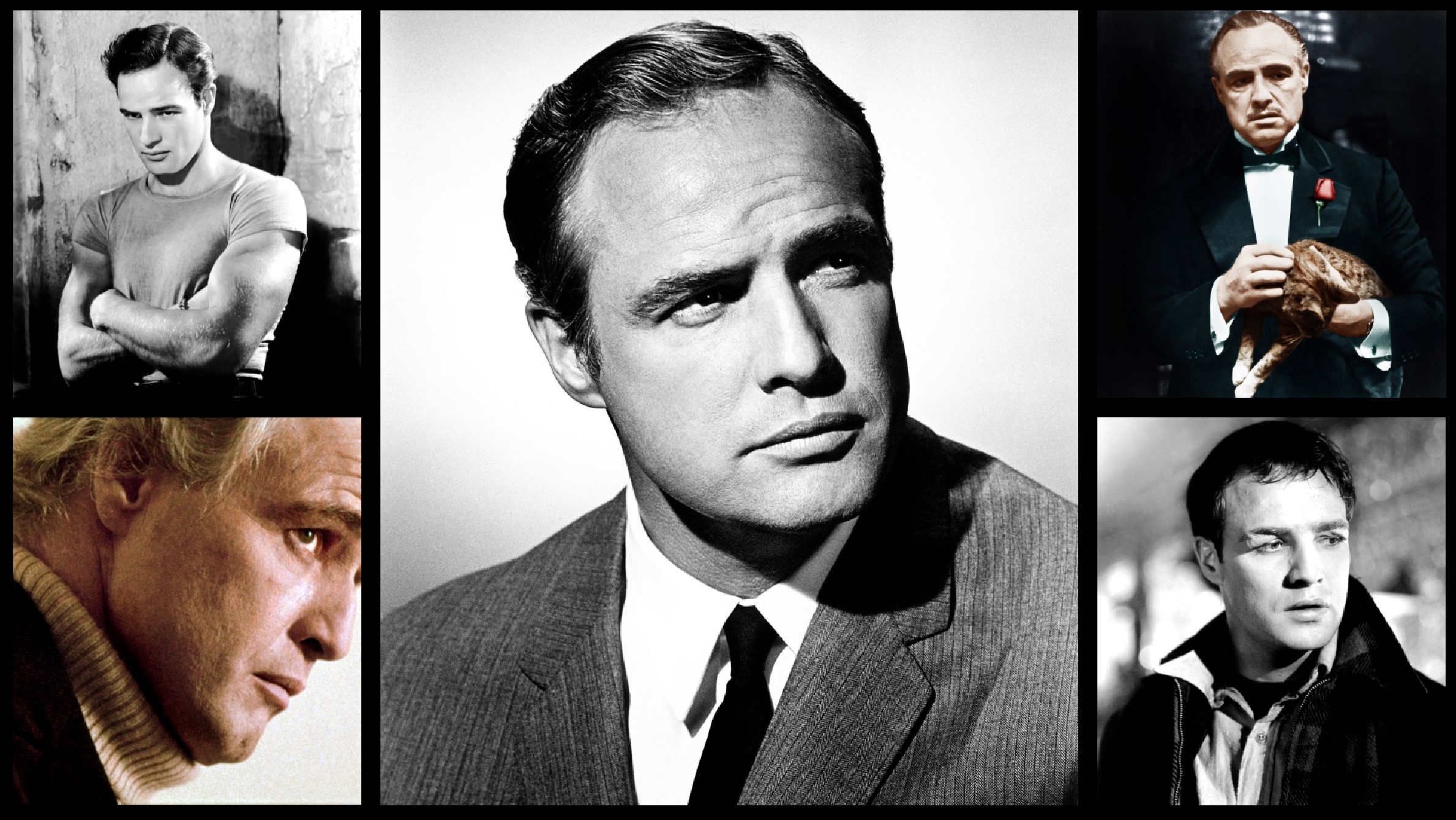 All 40 Marlon Brando Film Performances Ranked, in Honor of His 100th Birthday